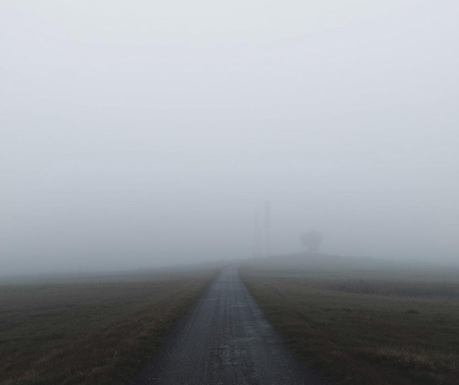 When Nothing Moves, Stillness Keeps You Alive