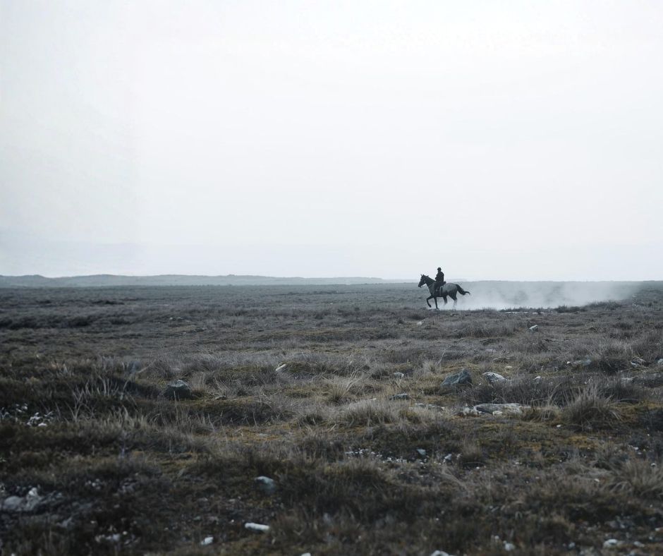 Lone rider crossing an open field under grey skies – symbolizing the flight response and survival through movement